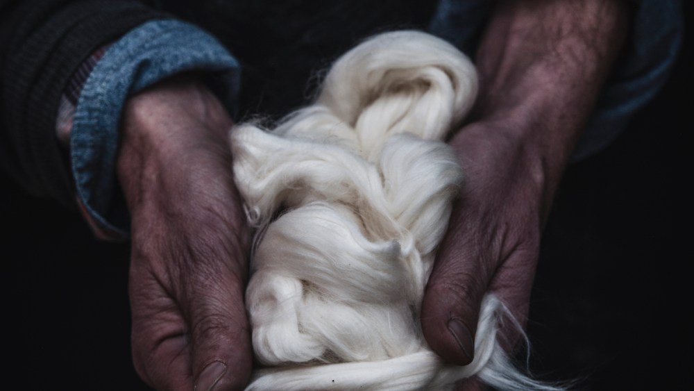 Cotton yarns from Berto.