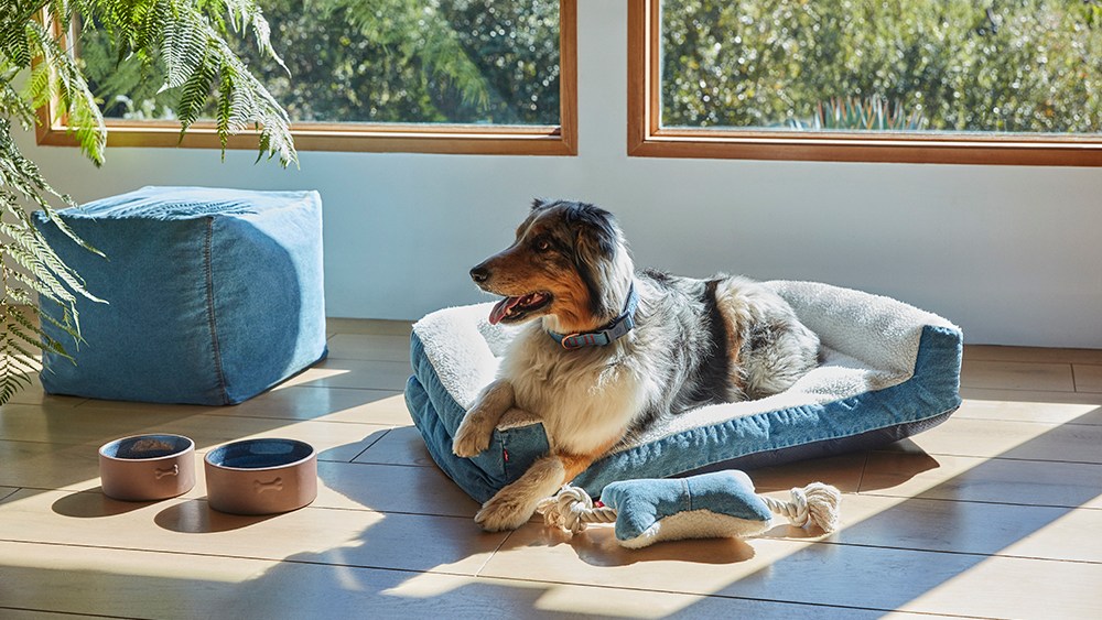 Selvedge-inspired dishes, bandana print pillows and quilted blankets are among the most-wanted items in the Levi's for Target collection.