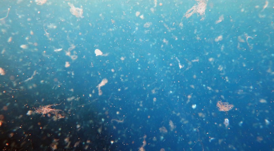 While pollution of any kind is never a good thing, the concern with microplastic particles is the ease with which they can be consumed.