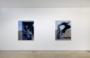 Installation view of "Field Test" at Jack Shainman Gallery.