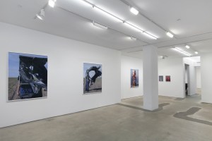 Installation view of "Field Test" at Jack Shainman Gallery.