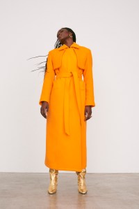 Amir Taghi RTW Fall 2021