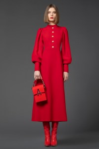 Andrew Gn RTW Fall 2021