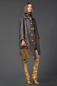 Andrew Gn RTW Fall 2021