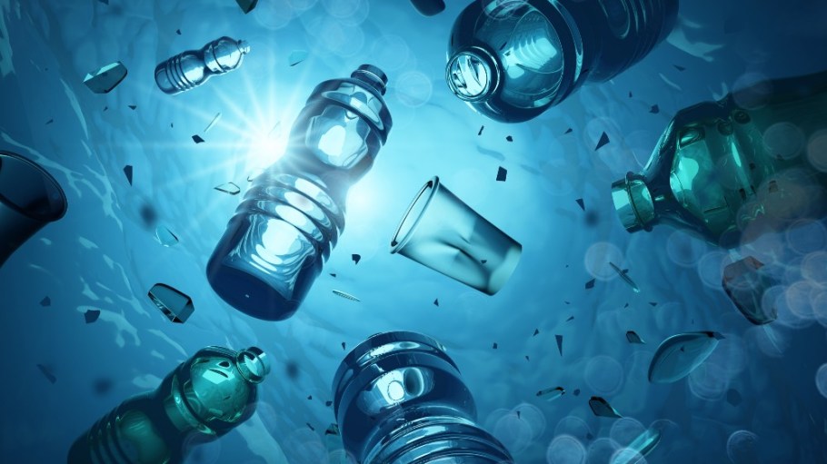 Unifi Inc., a manufacturer of recycled and synthetic yarns, has announced the winners of its Repreve Champions of Sustainability awards.