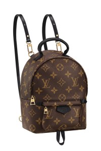 Palm Springs Backpack