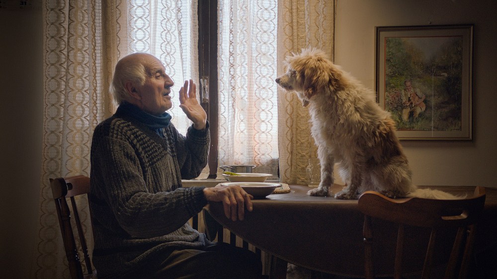 Aurelio Conterno, Birba (dog) in "The Truffle Hunters." Image by Michael Dweck and Gregory Kershaw.