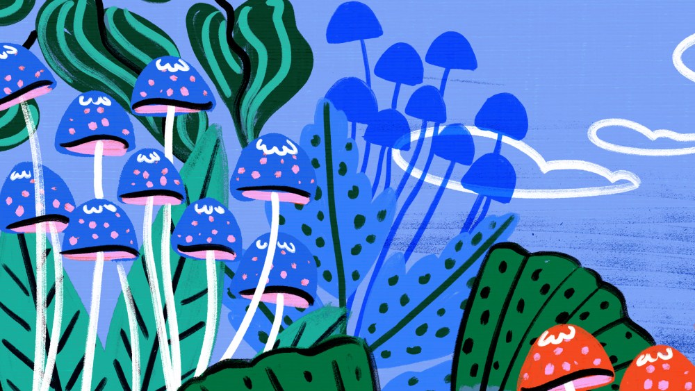 Mushrooms Are Becoming a Beauty and Wellness Ingredient Darling