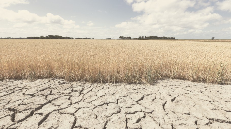 A megadrought's occurring across the US, impacting agriculture and ensuring a spike in food prices, leaving less money to spend on apparel.