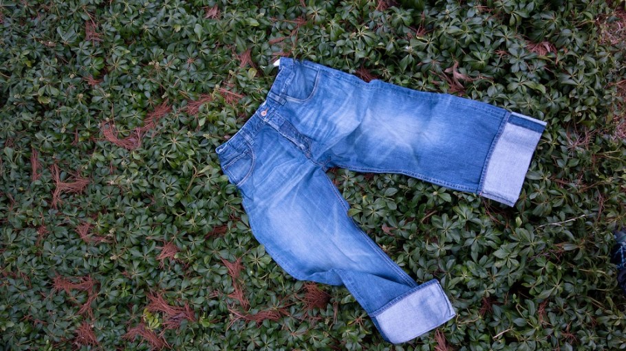Cone Denim is on track to produce 3 million pounds of certified Organic Content Standard cotton for its organic denim collection this year.