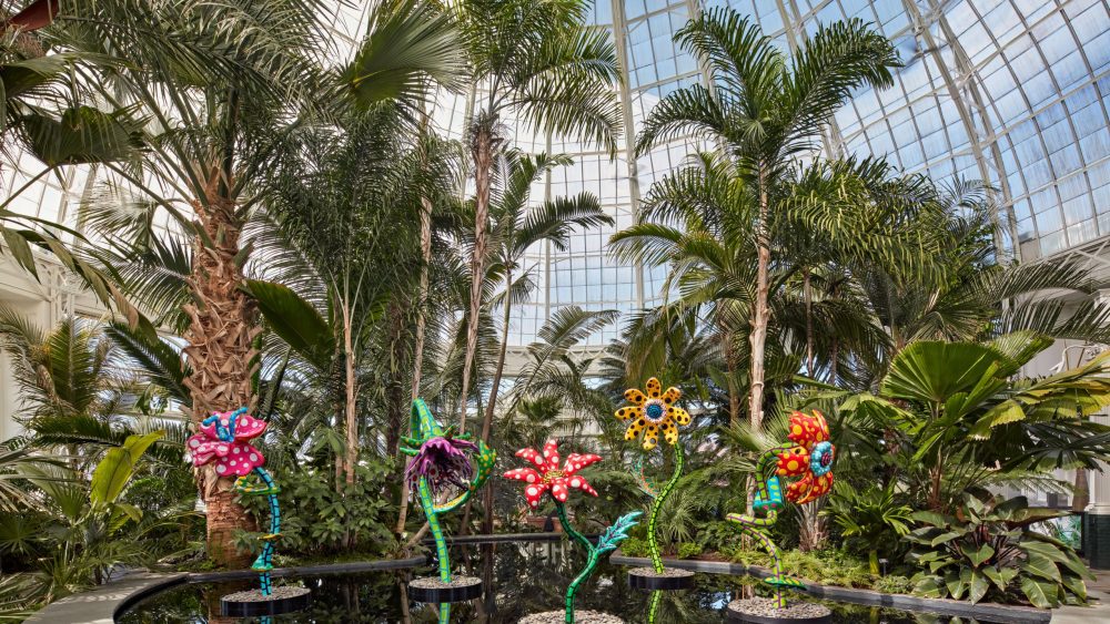 "Kusama: Cosmic Nature" at the NYBG.