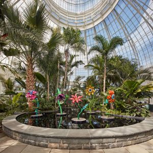 "Kusama: Cosmic Nature" at the NYBG.