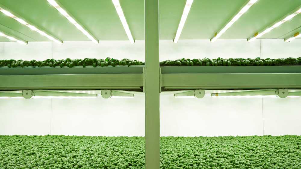Planet Farms vertical farming system