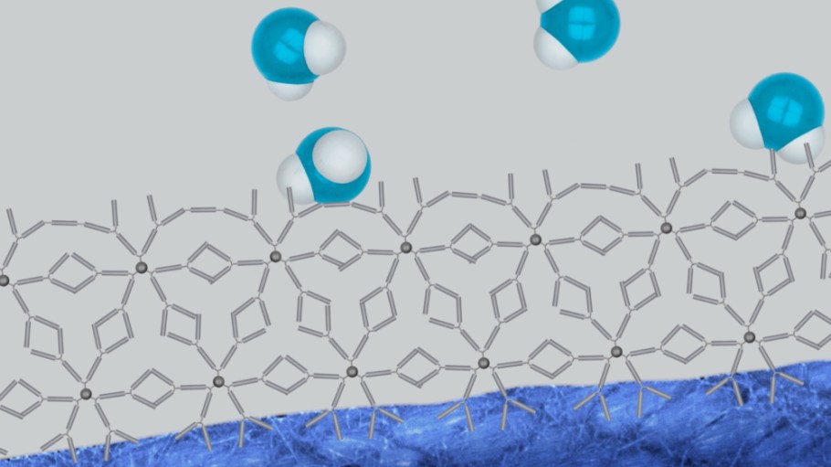 German chemical company Rudolf Group drew from nature to create fluorine-free Durable Water Repellent (DRW) textiles for fashion and sport.