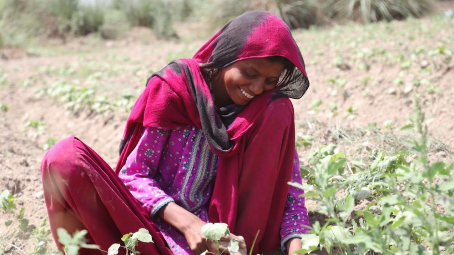Soorty’s Organic Cotton Initiative brings organic farming practices and a better way of life to farmers in the Balochistan, Pakistan region.