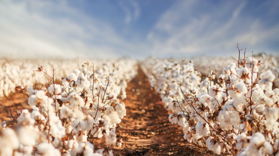The U.S. Cotton Trust Protocol is joining the TextileGenesis platform to be the first sustainable cotton fiber to offer full transparency.