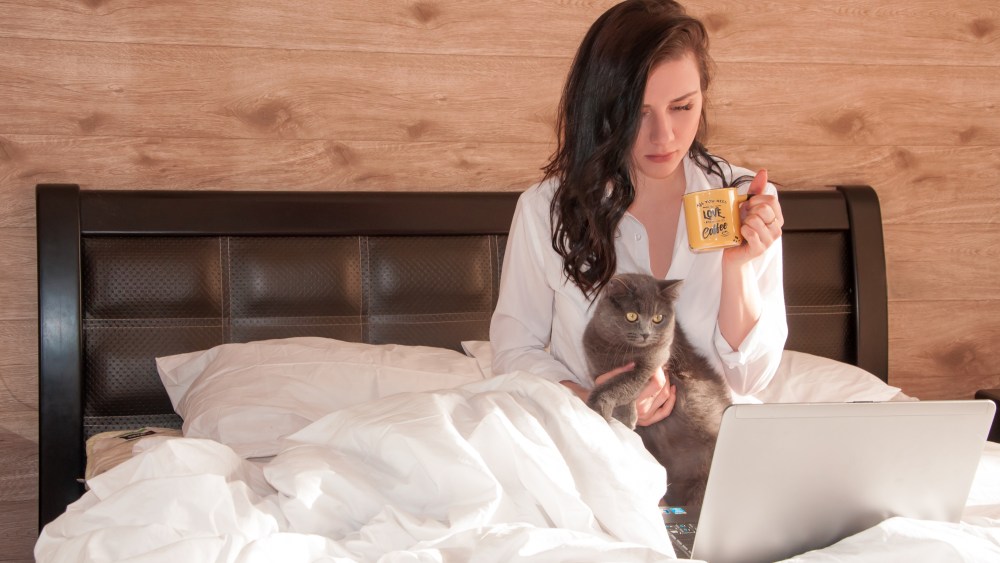 work from home