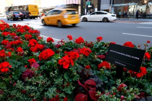 A look at the Fifth Avenue Blooms fashion show.