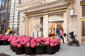 A look at the Fifth Avenue Blooms fashion show.