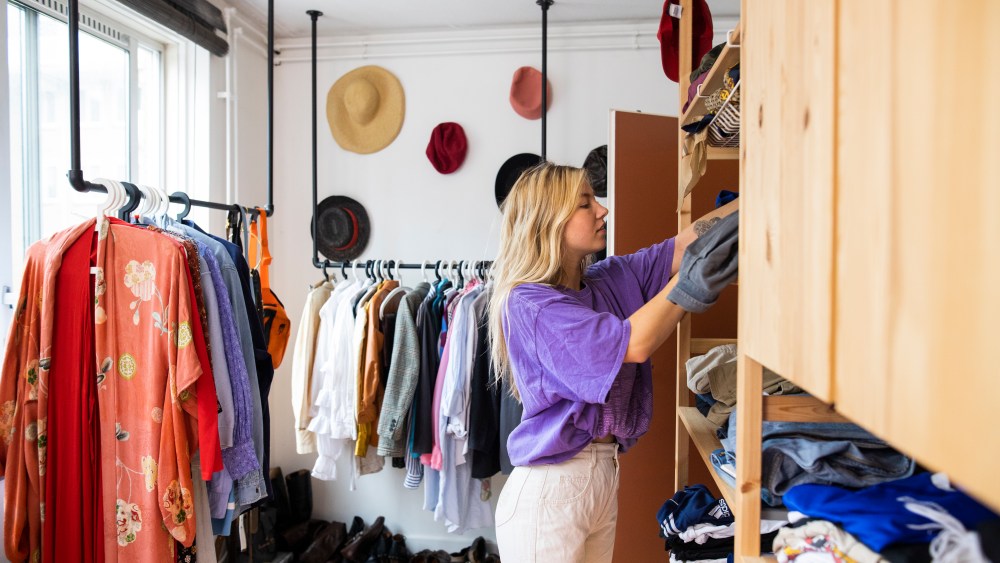 Vinted raises 250 million euros in Series F investment round
