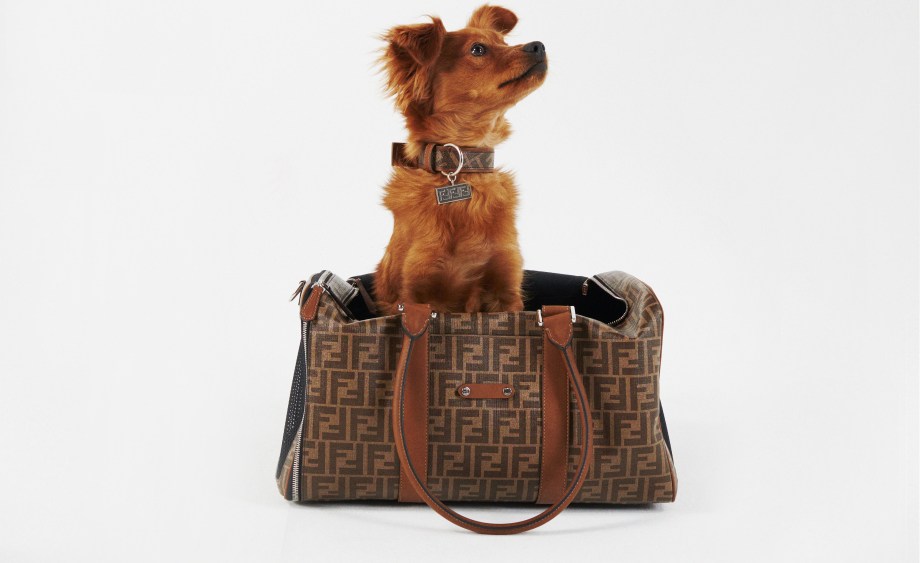 Fendi pet travel line pet carrier.