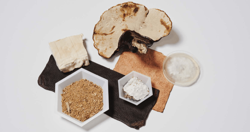 Textiles, materials, innovation, plant based, vegan, leather, leather alternatives, science, fashion, carbon