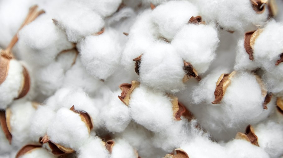 Artistic Milliners and blockchain-based platform Retraced teamed to launch a farm-to-garment cotton traceability solution.