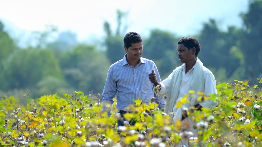 Encouraging farmers switch to organic cotton, the Organic Cotton Accelerator has joined with brands and NGOs for a pilot project in India.