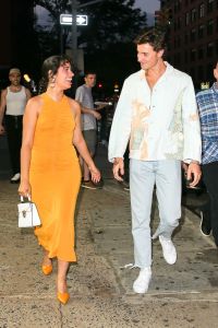 camila cabello, dress, yellow dress, heels, shawn mendes, date, new york
