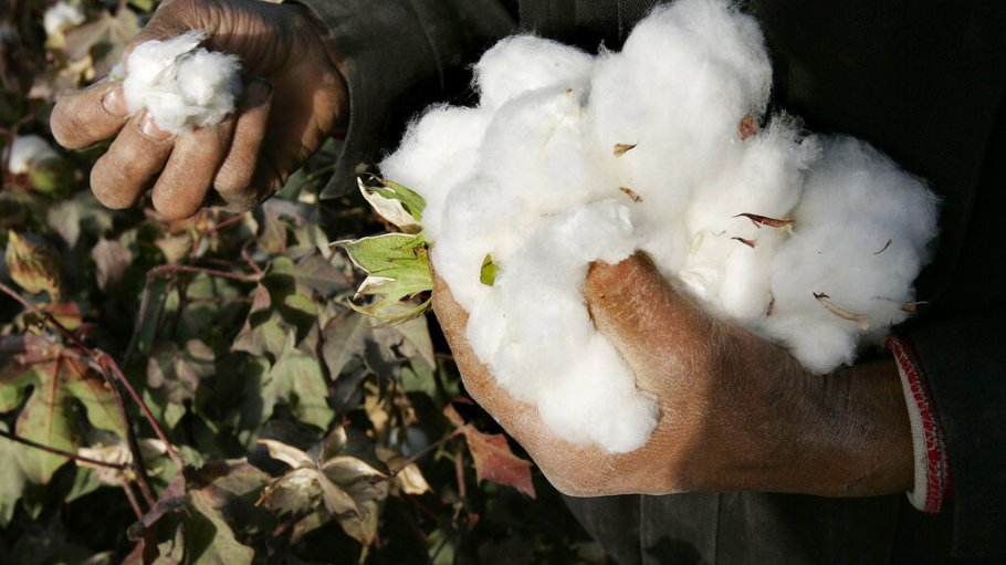 CHINA COTTON