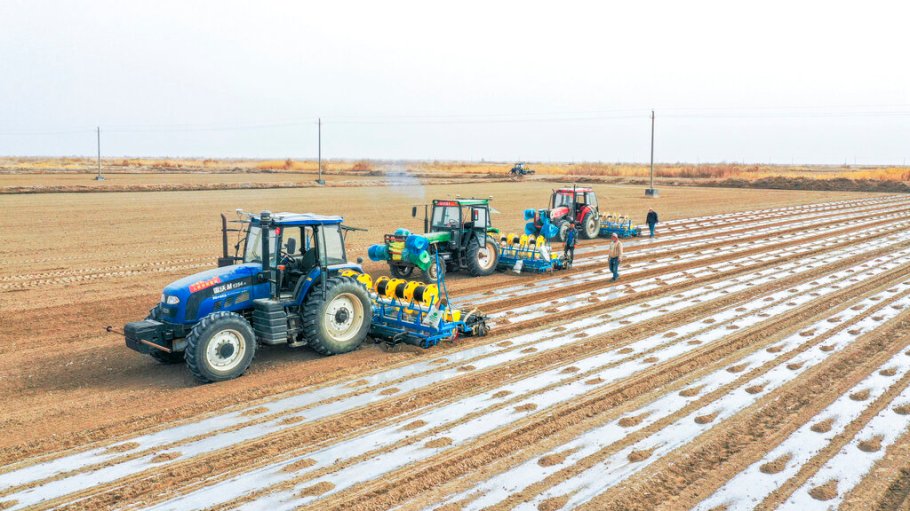 CHINA CHINESE XINJIANG KUQA AGRICULTURAL MACHINE COTTON FARMING