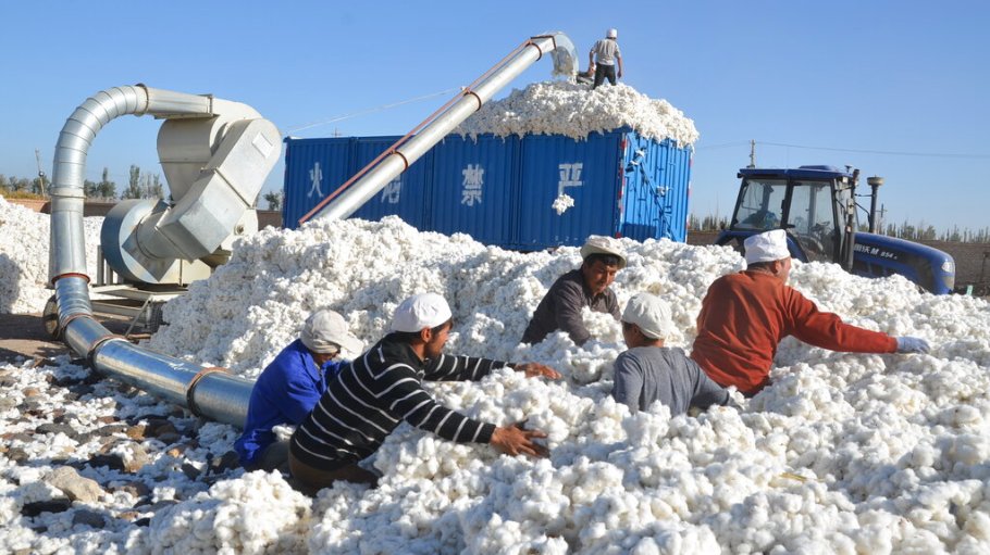 Xinjiang cotton at crossroads of China's new Silk Road