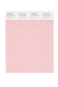 Gossamer Pink 13-1513