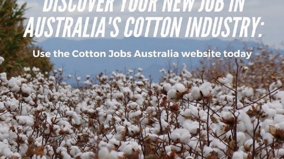 Cotton Australia has taken action to help solve one of the Australian cotton industry's biggest challenges: a shortage of seasonal workers.