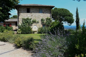 The scene at Cantine di Cerreto Estate.