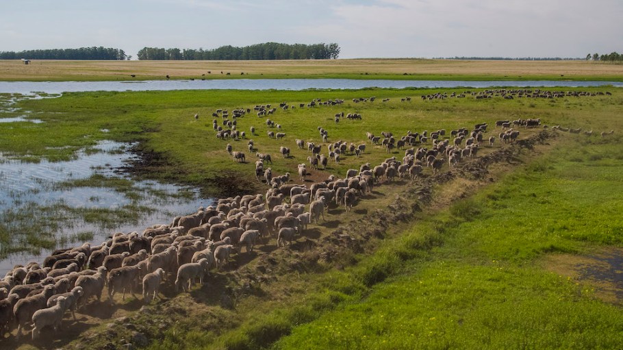 Chargeurs PCC Fashion Technologies launched two sustainable wool padding blends featuring blockchain-backed Nativa wool at Milano Unica.
