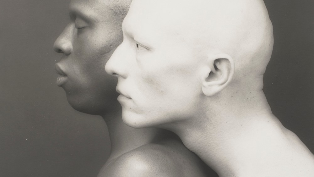 This Robert Mapplethorpe photo will be featured in one of the upcoming sales.