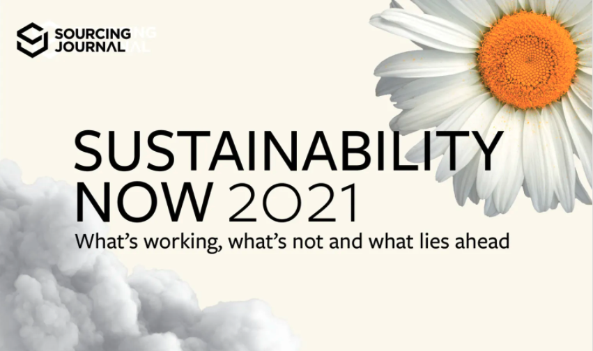 Sustainability Now 2021: What's working, what's not and what lies ahead