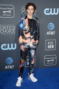 Timothee Chalamet arrives at the 24th annual Critics' Choice Awards on Sunday, Jan. 13, 2019, at the Barker Hangar in Santa Monica, Calif. (Photo by Jordan Strauss/Invision/AP)
