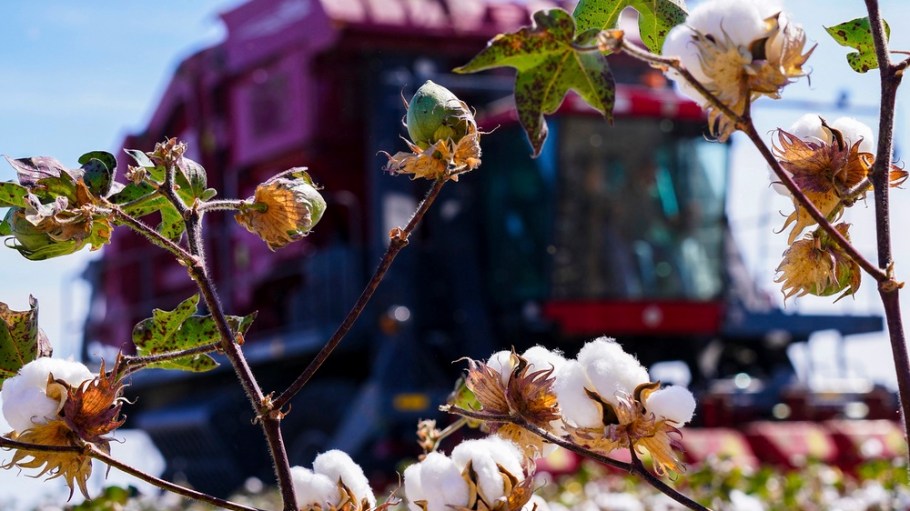 Changji Esquel Textile Co. Ltd isn't budging from the Commerce Department's trade blacklist anytime soon.