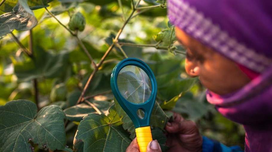 A new BCI report on GHG emissions of Better Cotton and comparable production found significantly lower emissions from its cotton.