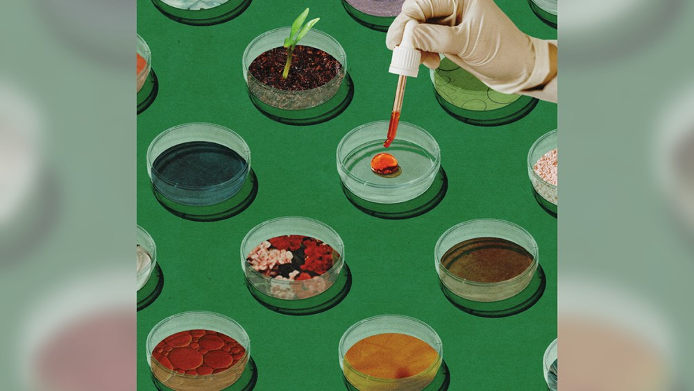 As the thrum for sustainability in beauty becomes ever louder, green science isushering in a new age of innovation.