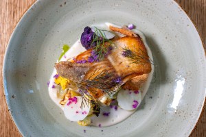 Hudson Valley trout