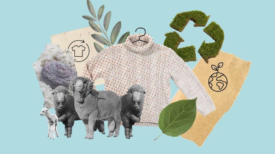 Wool offers a material solution for brands, designers and manufacturers to shift to a circular business model and create circular products.