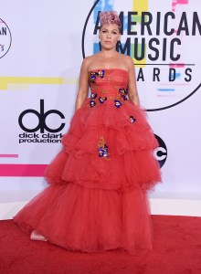 Pink arrives at the American Music Awards at the Microsoft Theater on Sunday, Nov. 19, 2017, in Los Angeles. (Photo by Jordan Strauss/Invision/AP)