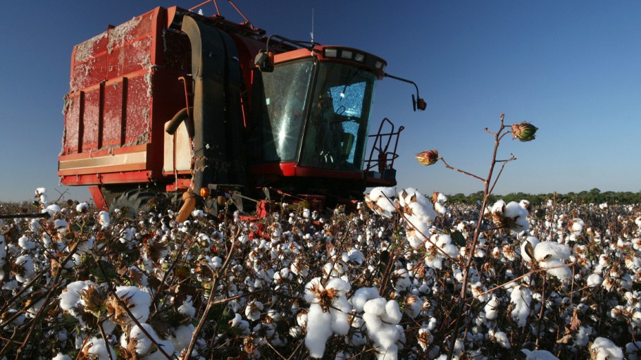 Apparel manufacturers already battling supply chain backlogs and delays and badly congested ports now face surging cotton prices.