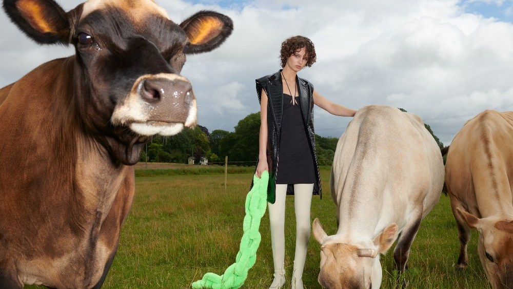 Hennes and Mauritz is rolling out a PETA-approved collection of animal-free apparel and footwear products for men, women and children.