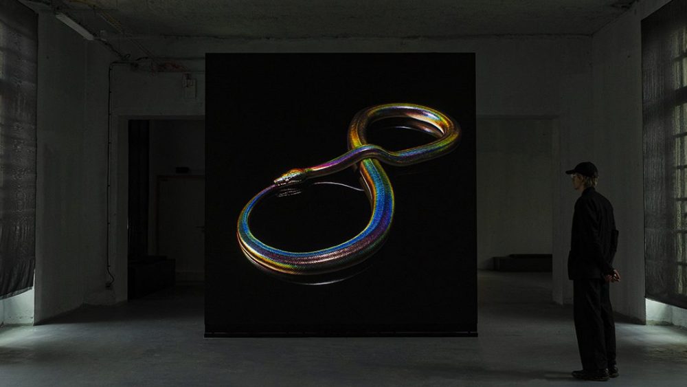 John Gerrard snake
