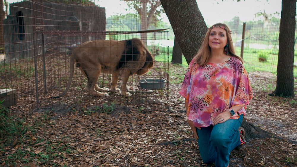 10 Documentaries to Watch in November 2021: Netflix, HBO Max, Discovery+