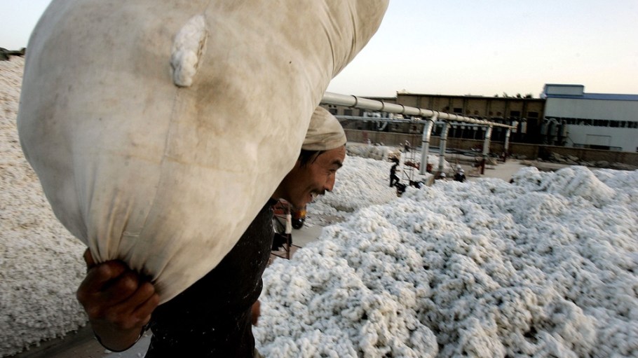 Two Japanese apparel giants have sworn off sourcing cotton from Xinjiang amid fresh evidence of Beijing’s alleged crimes against humanity.